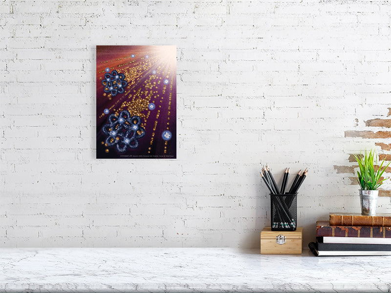 9694088-4078466
